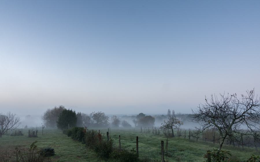 Prairie dans la brume au lever du jour