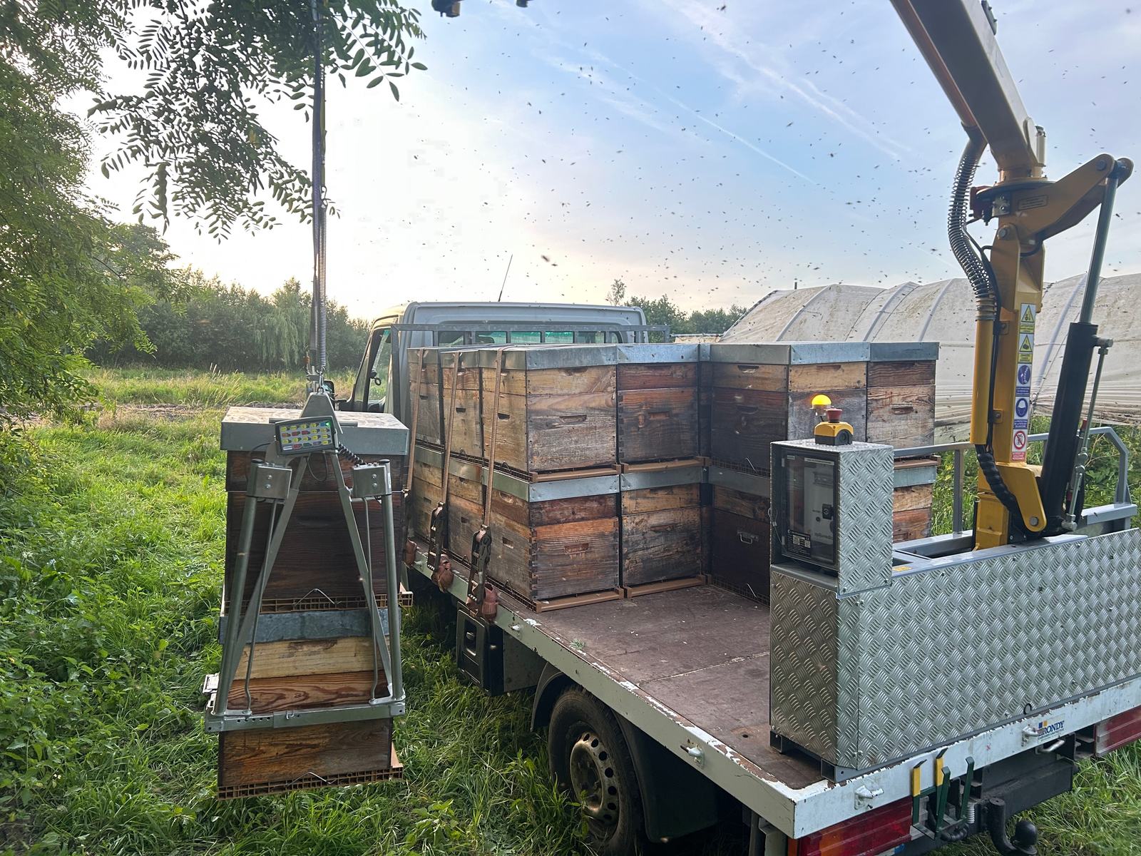 Deux ruches chargées sur la nacelle de la grue, au coucher du soleil